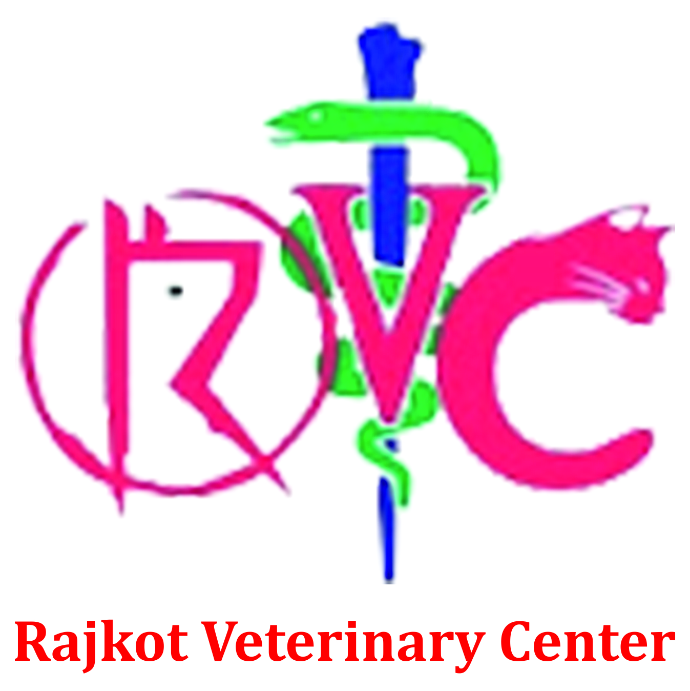 Top 100 DOCTOR VETERINARY In rajkot | DOCTOR VETERINARY Near Me In rajkot Top 100 DOCTOR VETERINARY In rajkot | DOCTOR VETERINARY Near Me In rajkot